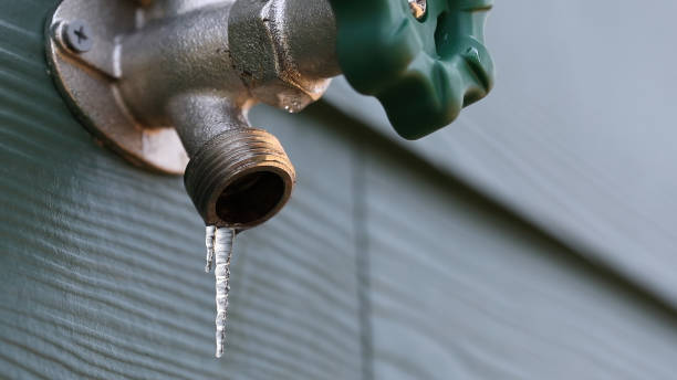 Best Sewer Line Repair  in Obion, TN